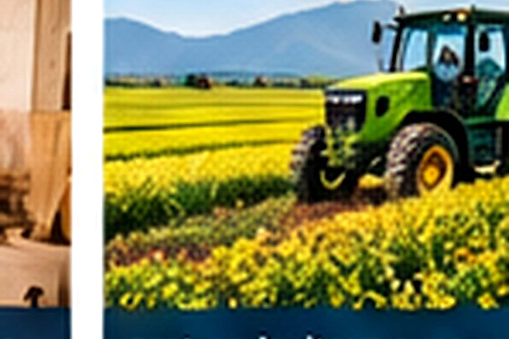 Prêt agriculteur bénéficiaire du RSA