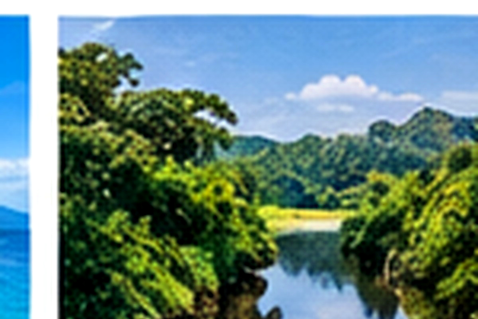 Prêt RSA disponible à Guyane